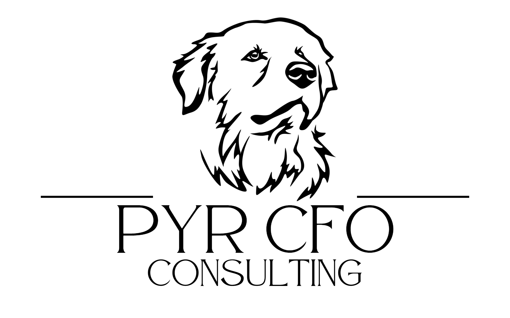pyrcfo.com